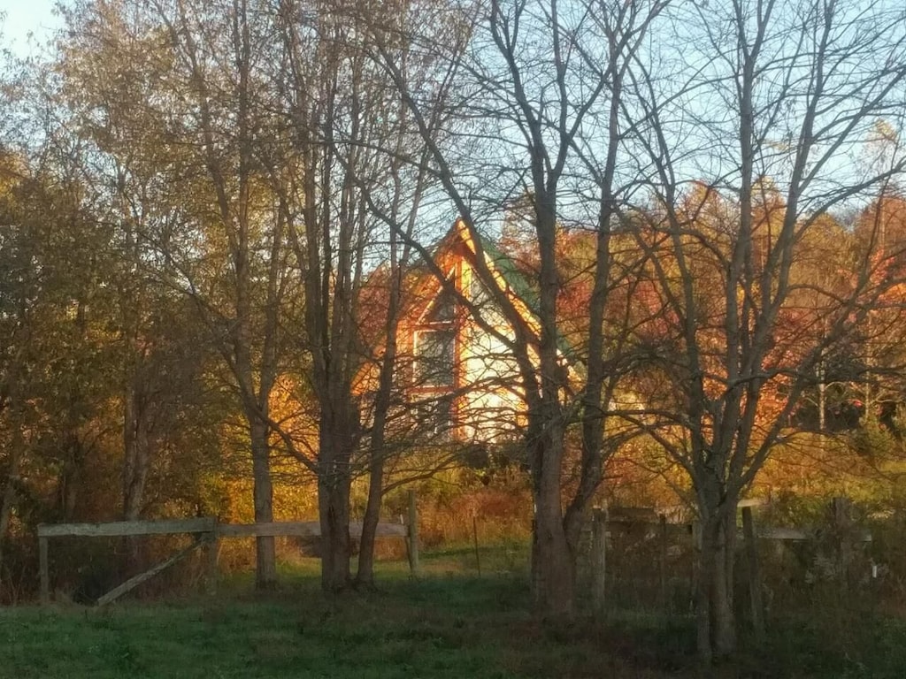 view of this unique ohio aframe peeking through the fall foliage