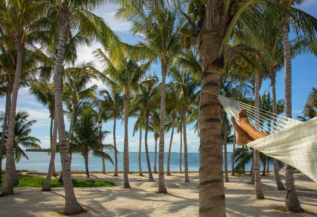 Women laid in a hammock between palm trees. You can see feet with palm trees and the water in the distance. 