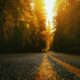 The Ultimate Road Trip Playlist | Top 20 Road Trip Songs | Best Road Trip Music | Road Trip Playlist | Follow Me Away Travel Blog