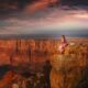Photo Essay: The Edge Of The Grand Canyon
