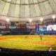 4 Things To Know Before Going To A Tampa Bay Rays' Game