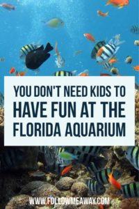 You Don't Need Kids To Have Fun At The Florida Aquarium | Things To Do In Florida | Best Aquariums In the United States | Follow Me Away Travel Blogs | Florida Travel Tips