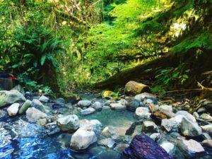 Adventures of Soaking With Naked People At Terwilliger Hot Springs | Hot Springs In Oregon | Best Hot Springs To Visit | Travel Tips Oregon | Cougar Hot Springs Oregon | Follow Me Away Travel Blog