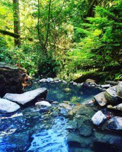 Adventures of Soaking With Naked People At Terwilliger Hot Springs | Hot Springs In Oregon | Best Hot Springs To Visit in Oregon | Travel Tips Oregon | Cougar Hot Springs Oregon | Follow Me Away Travel Blog 