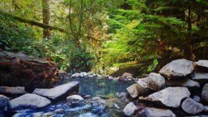 Adventures of Soaking With Naked People At Terwilliger Hot Springs | Hot Springs In Oregon | Best Hot Springs To Visit | Travel Tips Oregon | Cougar Hot Springs Oregon | Follow Me Away Travel Blog