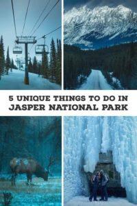 5 Unique Things To Do In Jasper National Park In The Winter | What To Do In Jasper | Top Things To Do In Jasper National Park | Things To Do In The Canadian Rockies | Canadian Rockies Travel Tips | Things To Do In Canada | Canada Travel Tips | Banff And Jasper Travel