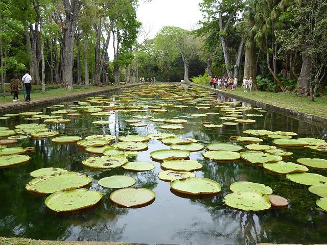 5 Epic Things To Do In Mauritius On Your First Trip | Tips for Travel To Mauritius | Top places to go in Mauritius | Mauritius honeymoon destinations | Best beaches in Mauritius | What to do in Mauritius