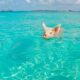 Top 5 Best Things To Do In The Bahamas | Tips For Visiting The Bahamas | What To Do In The Bahamas | Complete Bahamas Guide | Bahamas Travel Tips | Top Things To See And Do In The Bahamas Islands