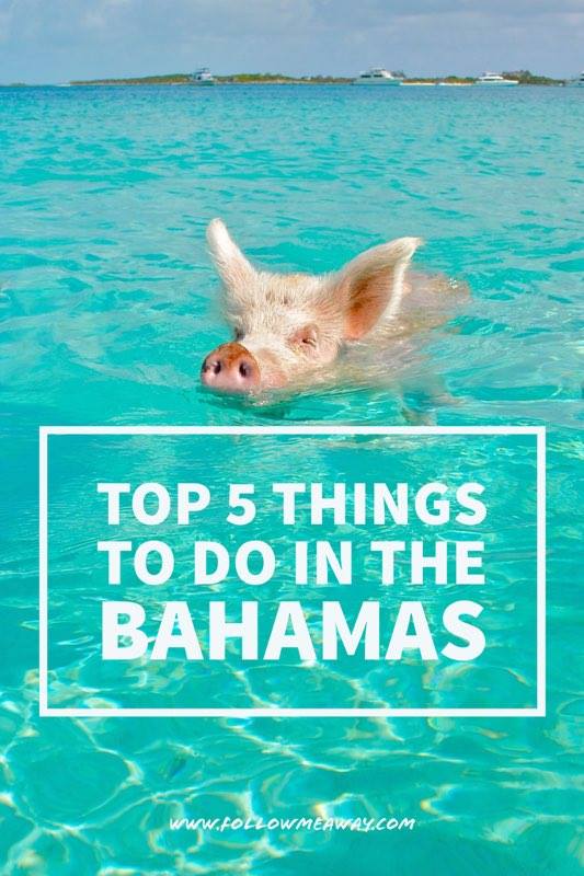Top 5 Best Things To Do In The Bahamas | Tips For Visiting The Bahamas | What To Do In The Bahamas | Complete Bahamas Guide | Bahamas Travel Tips | Top Things To See And Do In The Bahamas Islands
