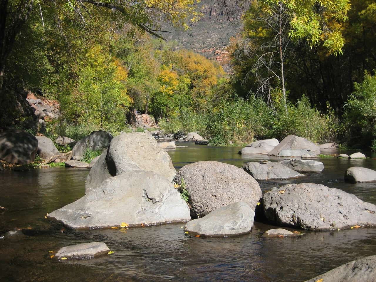 Visit Oak Creek Canyon near Sedona on your Arizona road trip