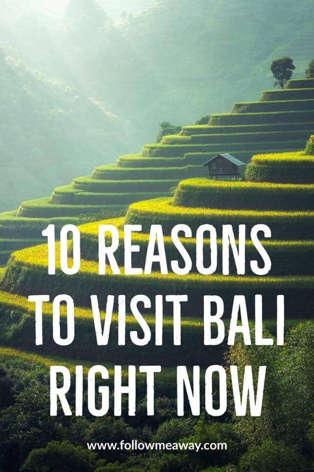 10 Reasons to travel to bali right now | bali travel tips | top things to do in bali | what to know before traveling to bali | bali travel guide | first timers guide to bali | the best things to do in bali on a budget