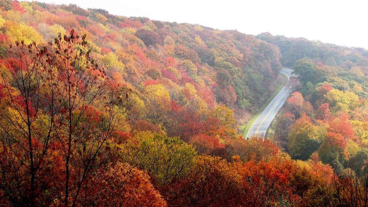 Top 5 November Travel Destinations To Visit This Fall