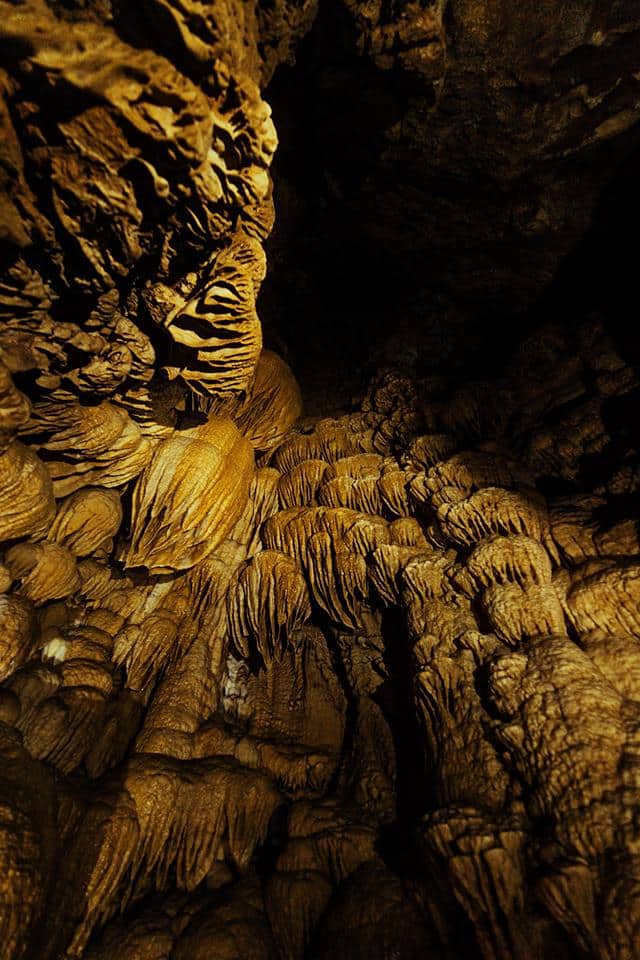 Looking up at stalactites in the Oregon caves.