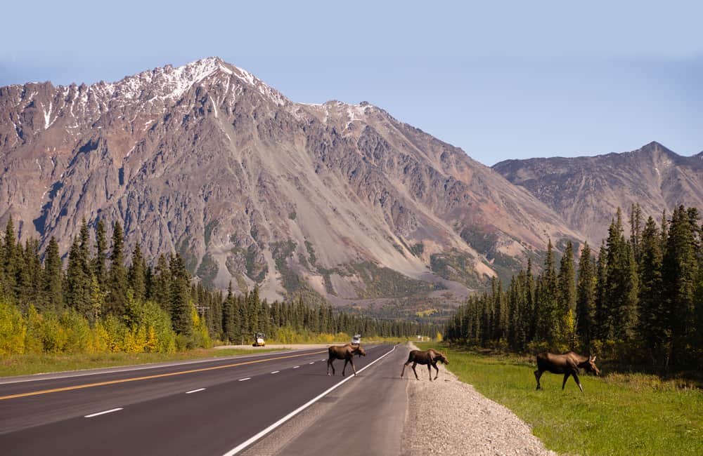 Safety tips for taking an Alaska road trip