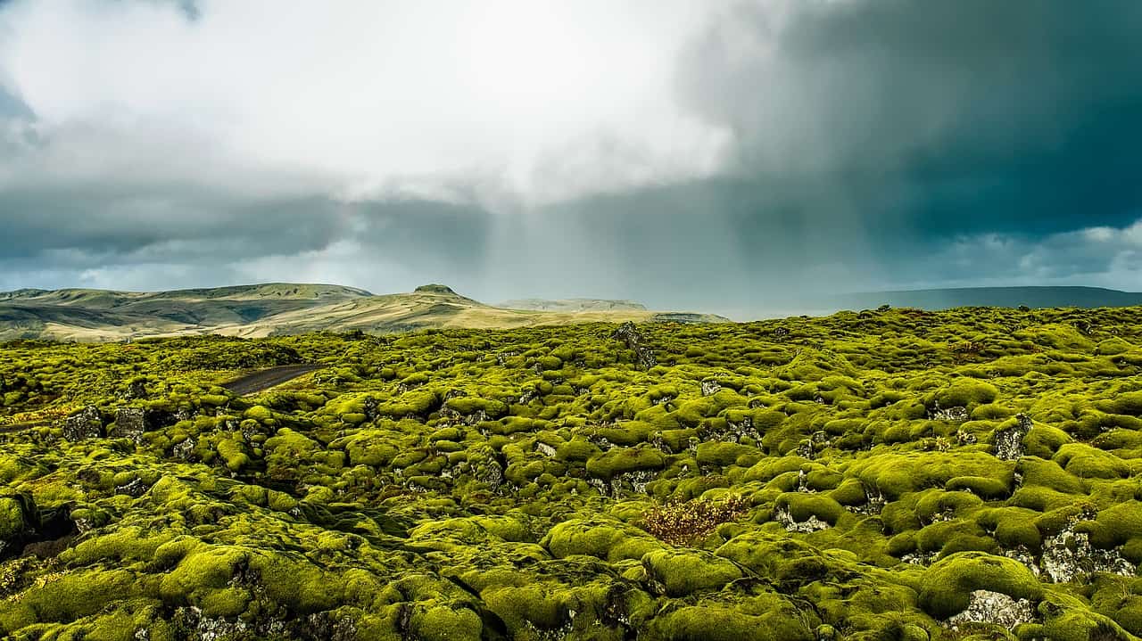 7 Things To Know Before Driving In Iceland