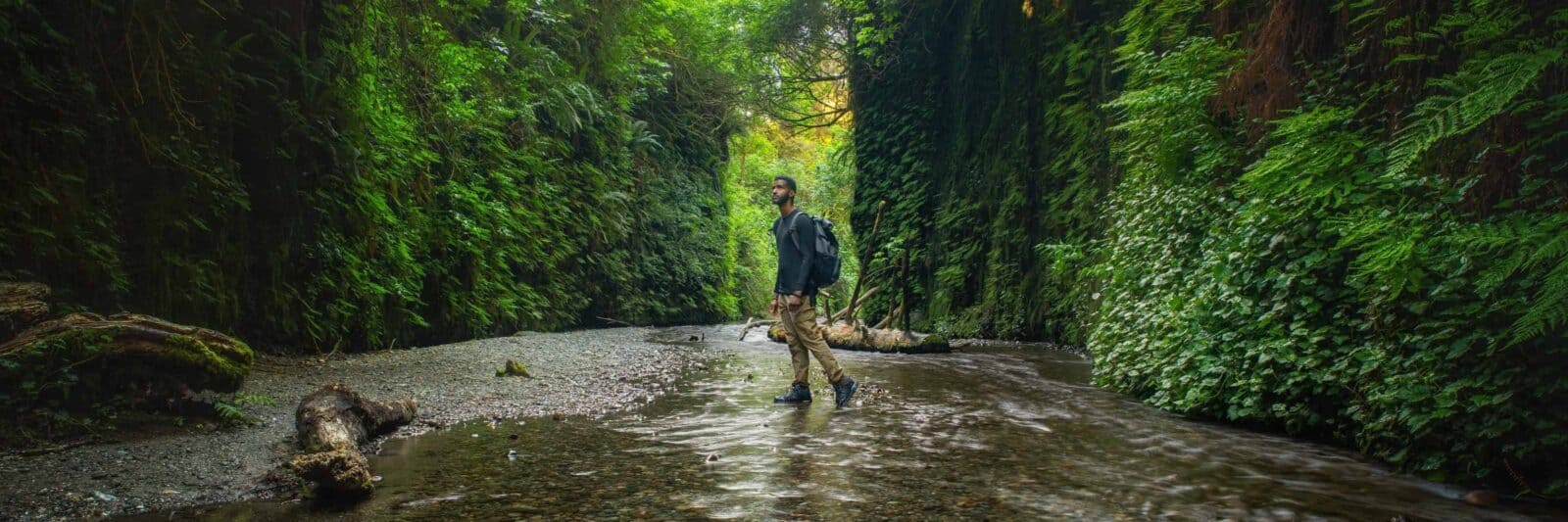 Fern Canyon Is A Great Stop On The Perfect Northern California Road Trip Itinerary