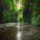 Fern Canyon Is A Great Stop On The Perfect Northern California Road Trip Itinerary