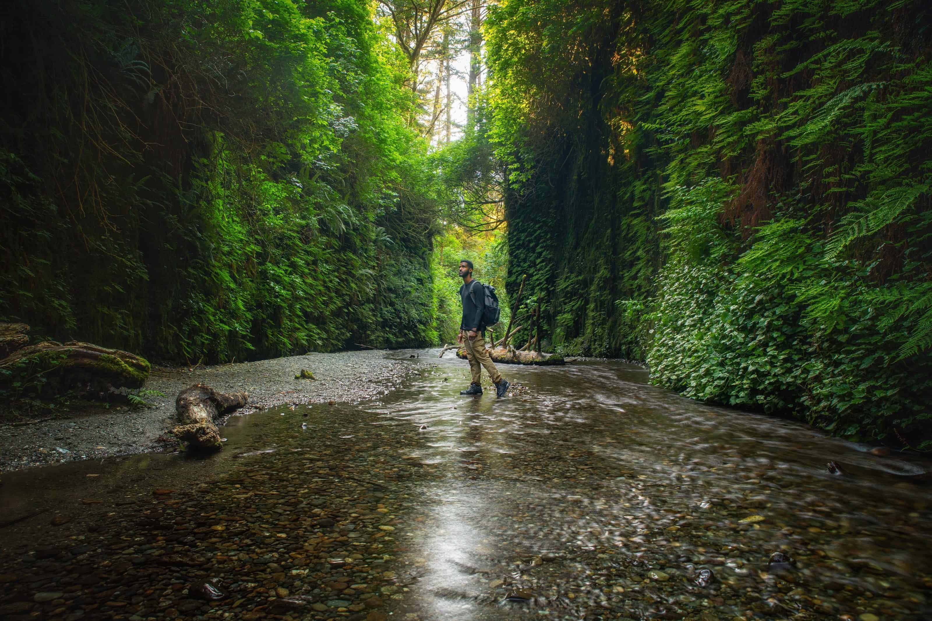 Man with a backpack walking through a shallow river in Fern Canyon on a Northern California road trip.