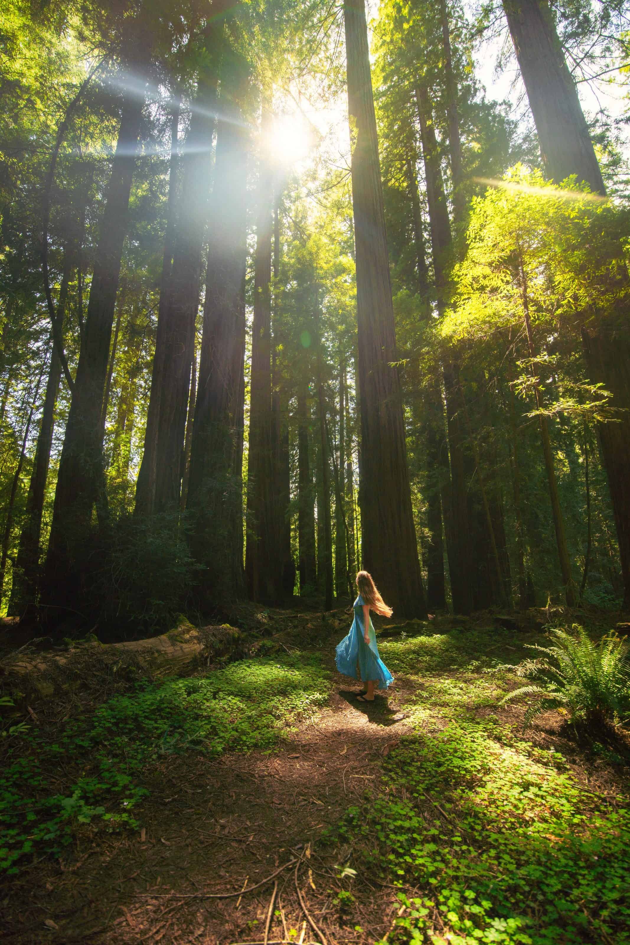 Woman in a flowing blue dress and long hair walking on a trail among tall trees.