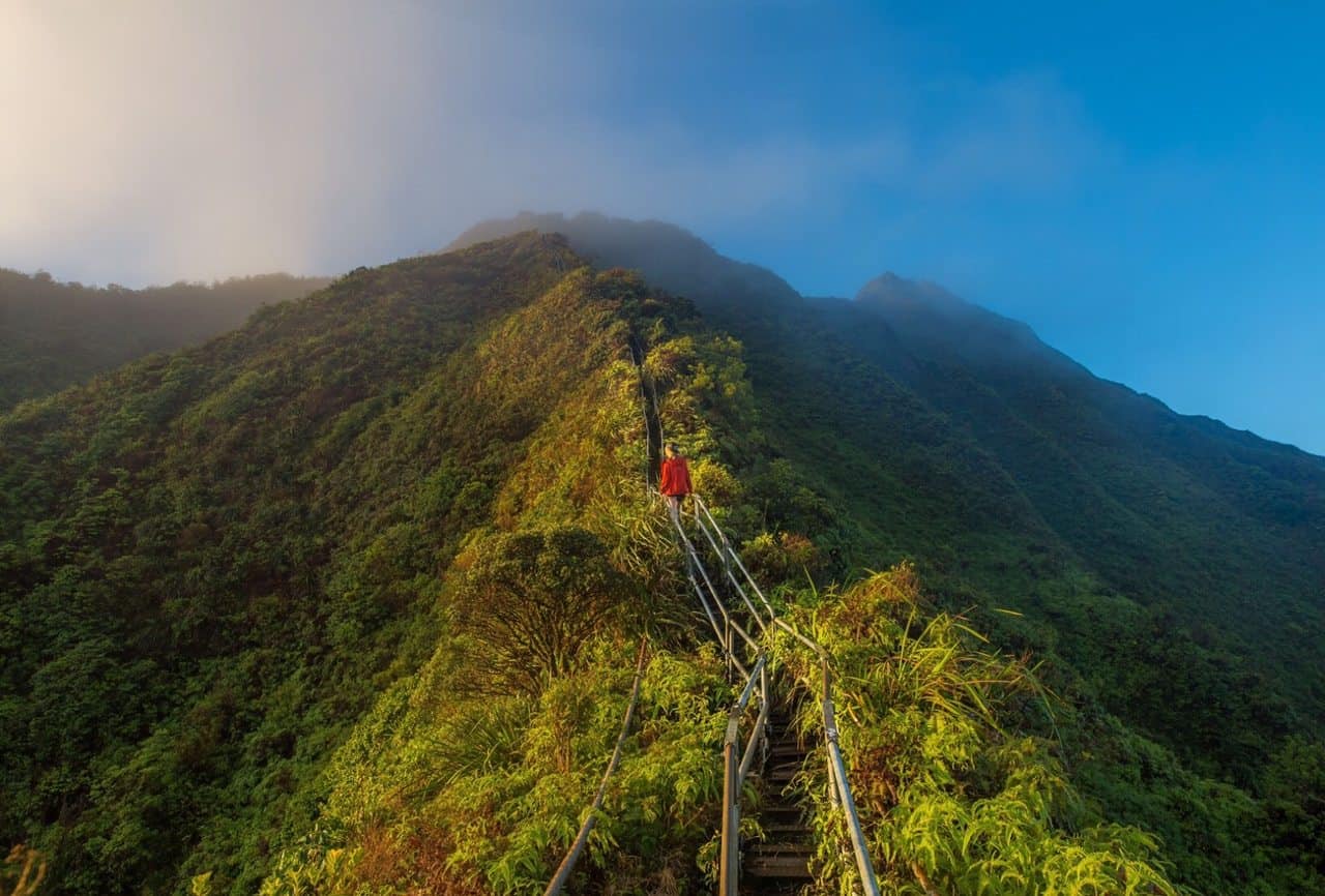 5 Best Hikes In Oahu For All Skill Levels