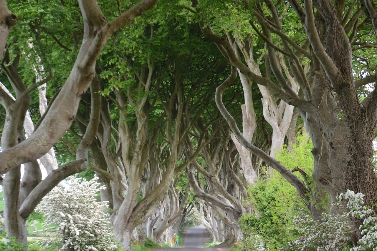 The Best 5 Day "Game Of Thrones Locations" Ireland Itinerary