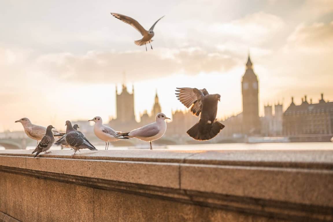 How Kayak's Travel Pros Series Inspires Us To Practice Our Wildlife Photography