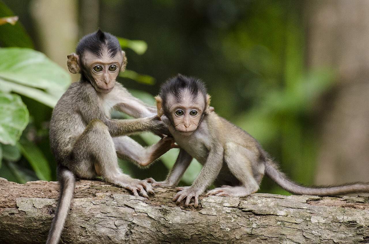 How Kayak's Travel Pros Series Inspires Us To Practice Our Wildlife Photography