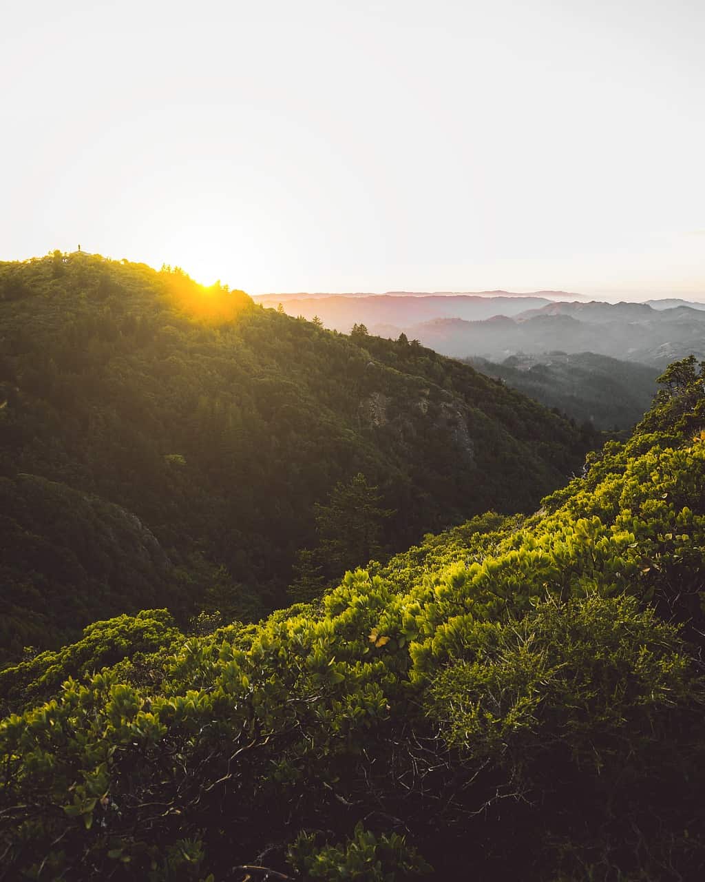 Everything You Need To Know About Hiking Mount Tamalpais