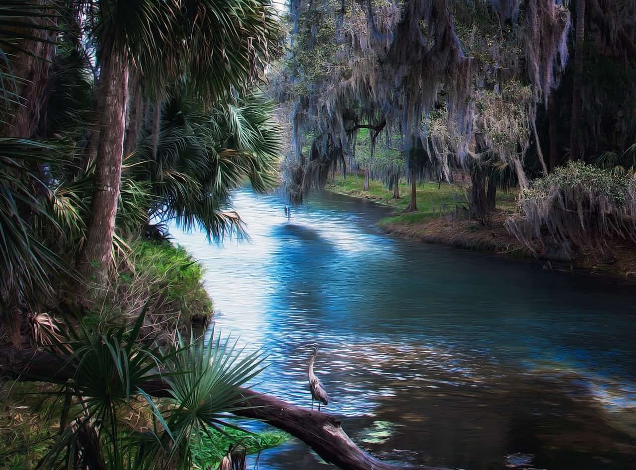 Make sure to add sunscreen and hats to your Florida packing list for safety in the sun