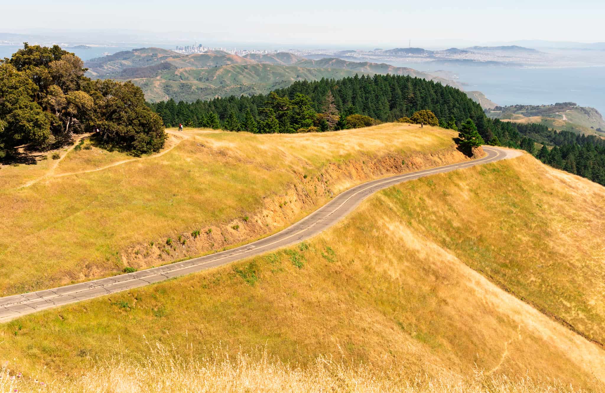 Everything You Need To Know About Hiking Mount Tamalpais