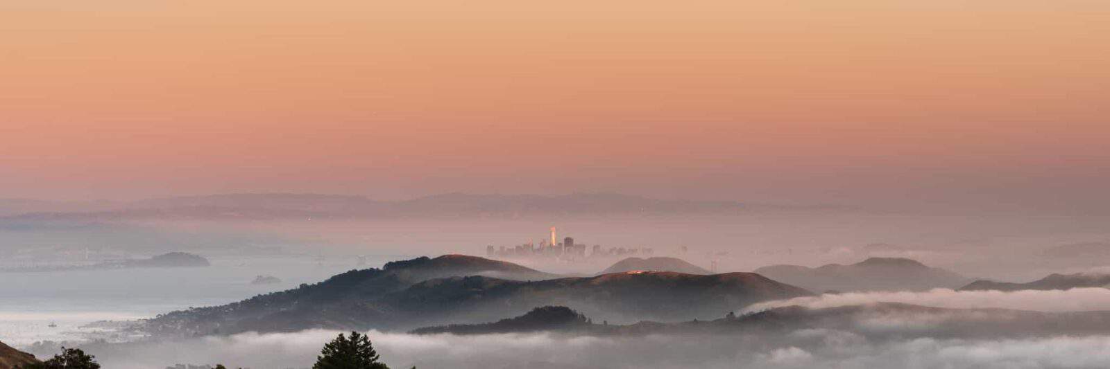 Everything You Need To Know About Hiking Mount Tamalpais