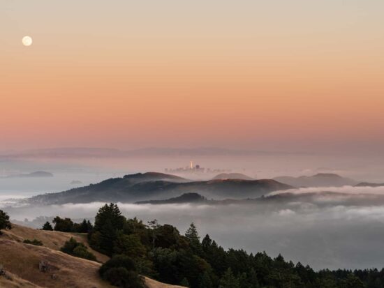 Everything You Need To Know About Hiking Mount Tamalpais