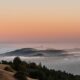 Everything You Need To Know About Hiking Mount Tamalpais