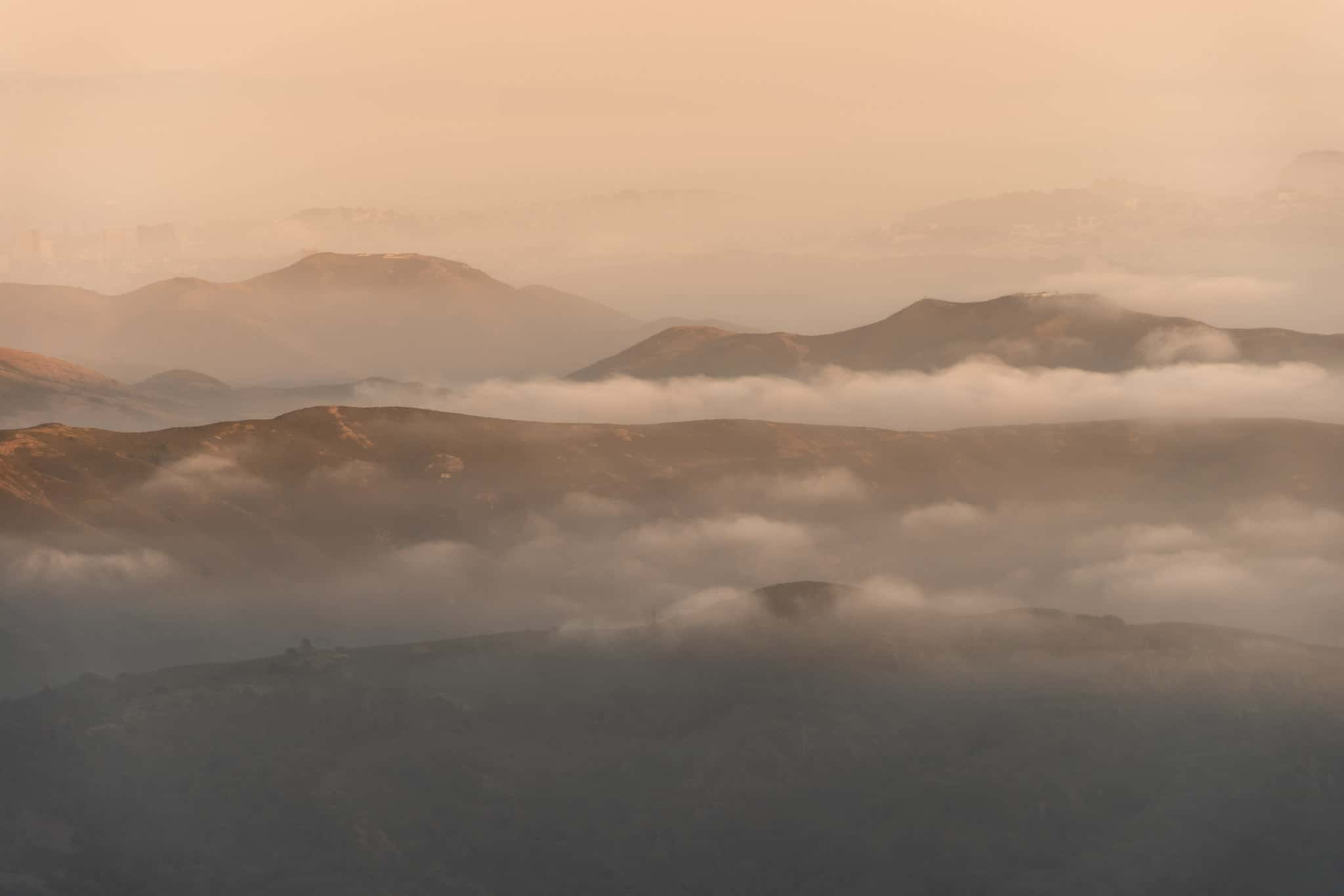 Everything You Need To Know About Hiking Mount Tamalpais