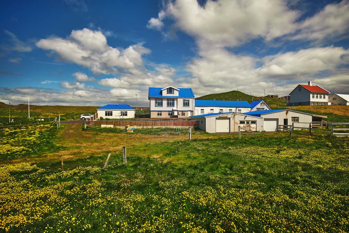 sunny view outside airbnb in Iceland