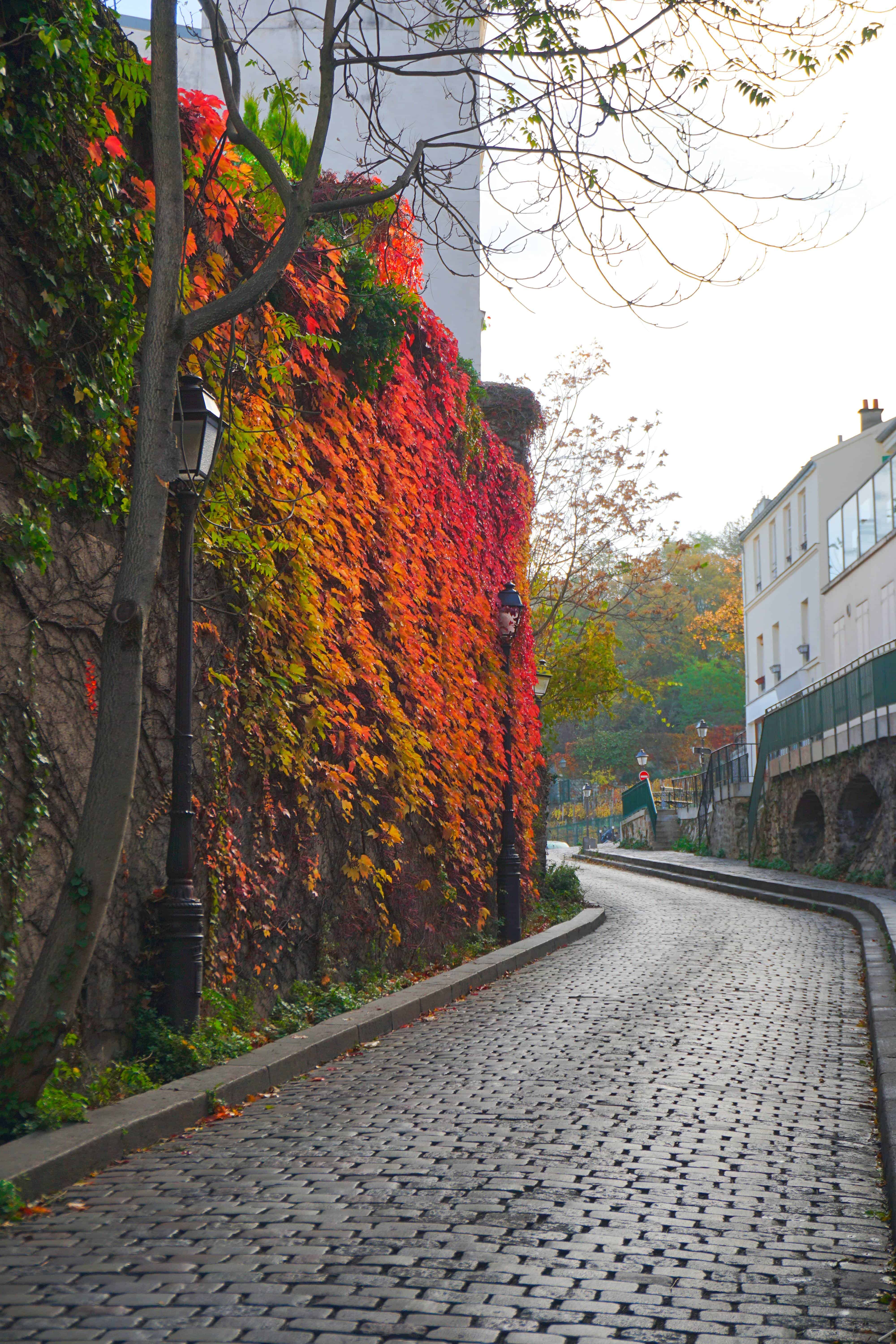 Rue Saint-Vincent is the best Paris street for beautiful views | cute streets in Paris | best paris photos