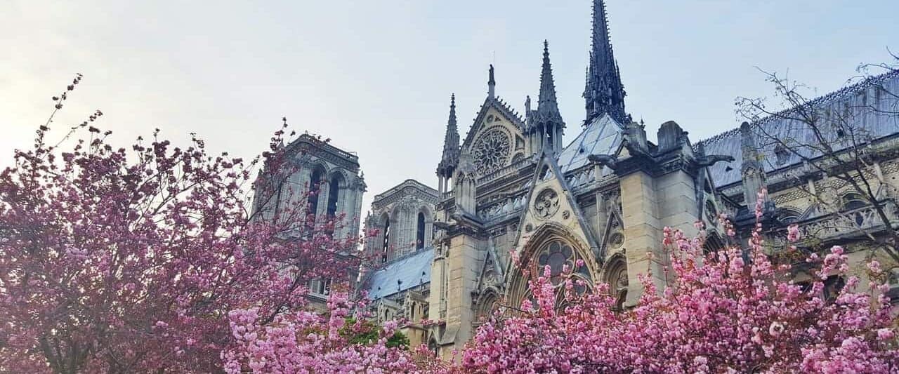 Springtime Flowers in Bloom at Notre Dame in Paris