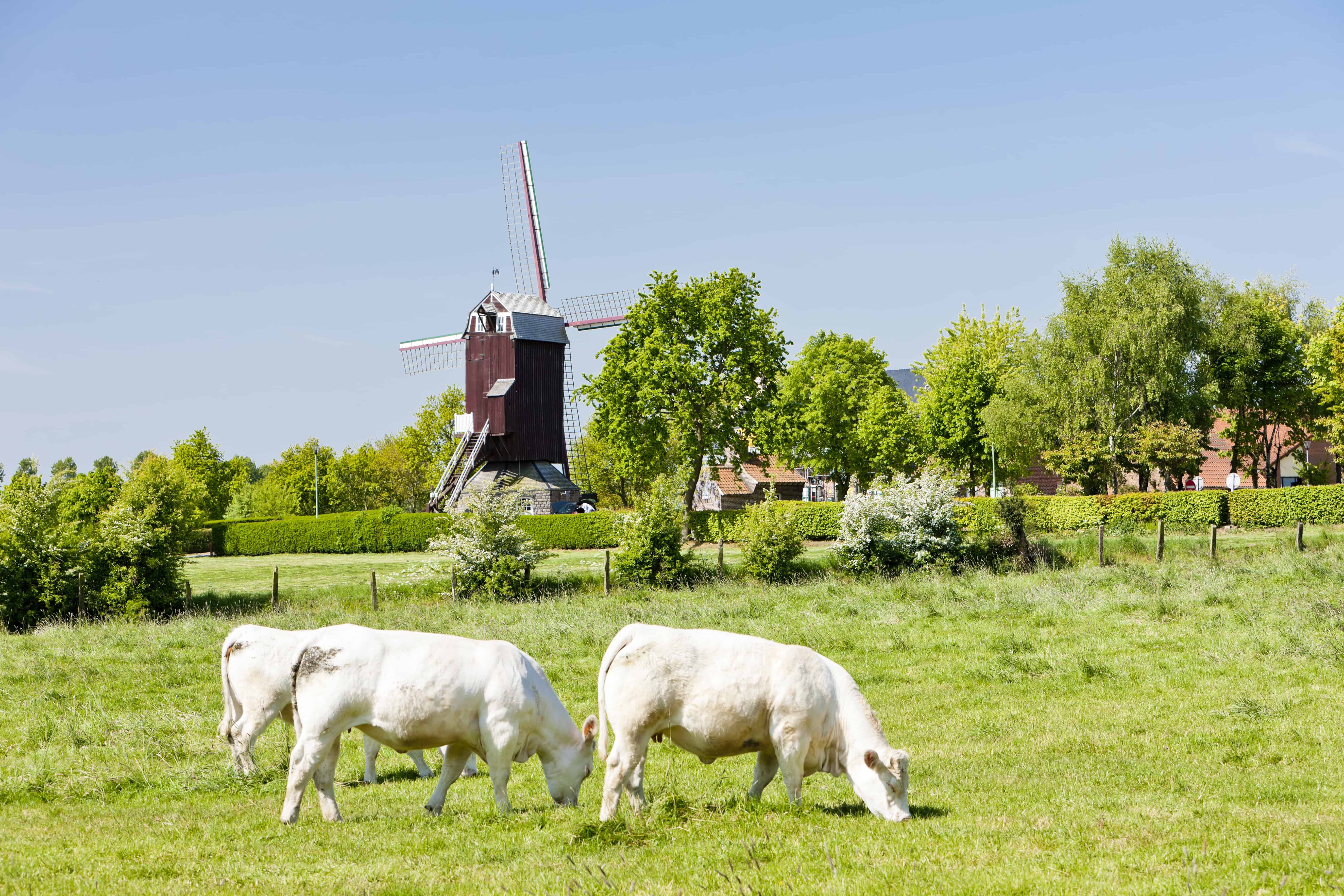 northern france tourist destinations Nord-Pas de Calais Is A Perfect Hiking Location In Northern France