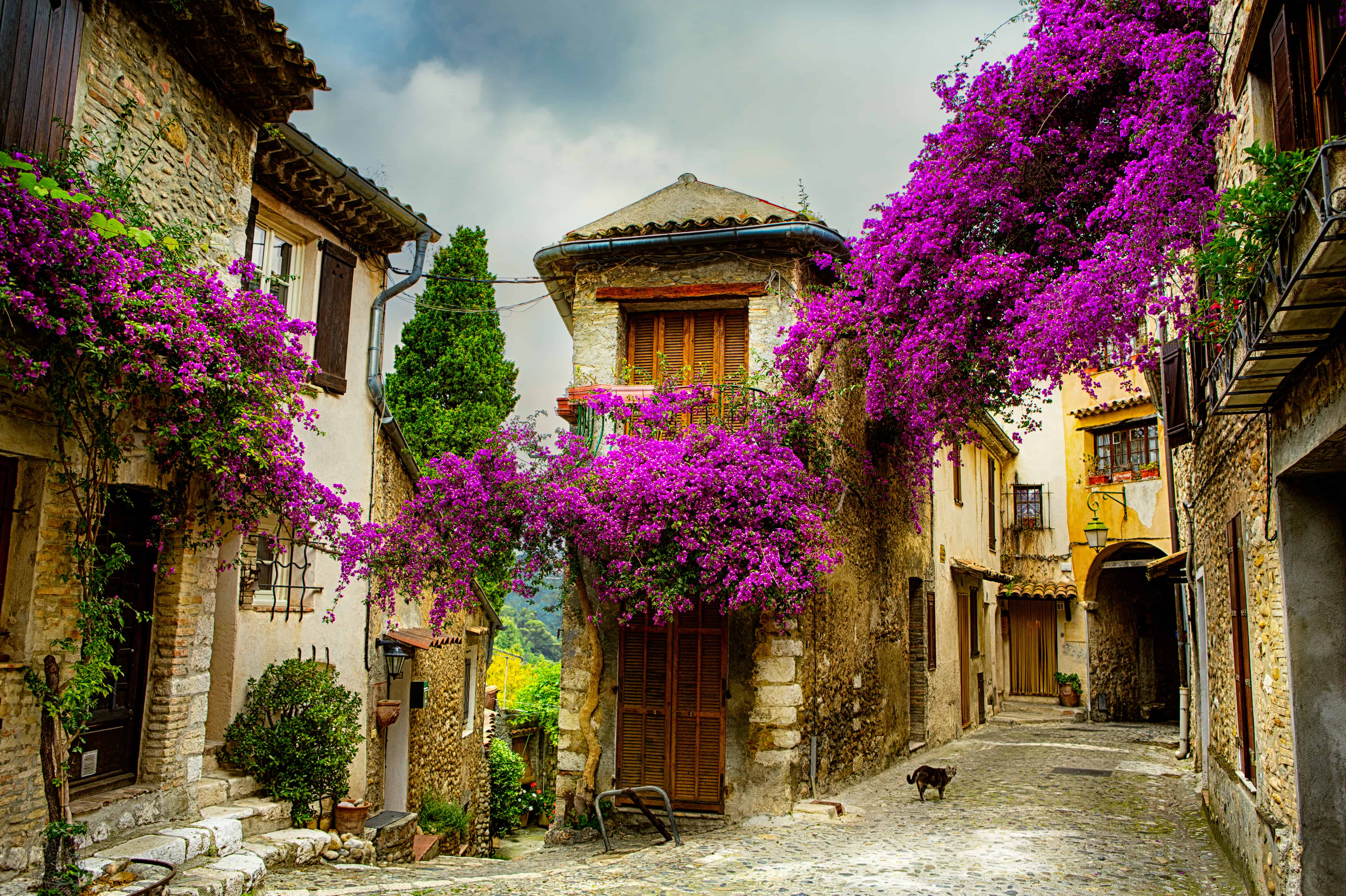 Northern France and its medieval heritage