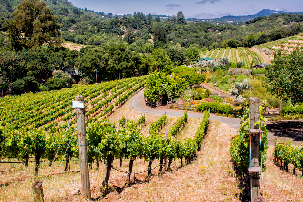 best wine country tours san francisco