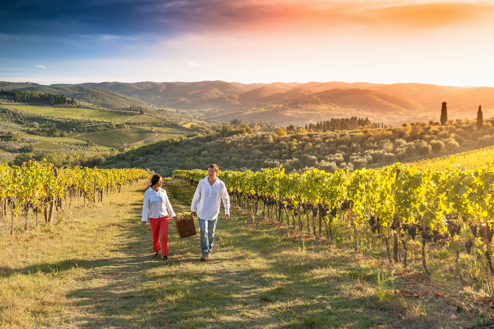 Private wine tours might be a fun option to explore what you want to see!