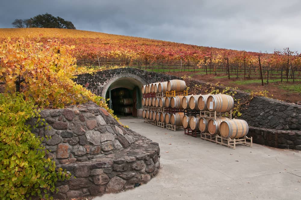 Enjoy seeing a wine cave on this San Francisco wine tour to Sonoma county 