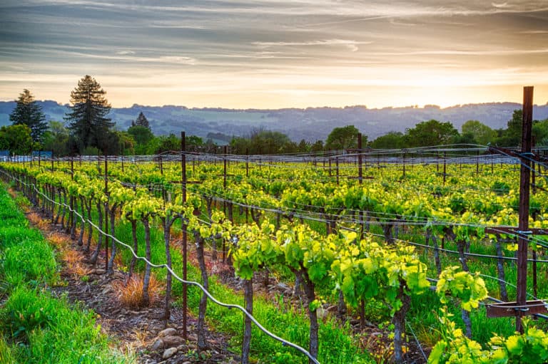 wine country tours from san francisco