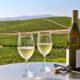 The Best San Francisco Wine Tours Worth Your Money