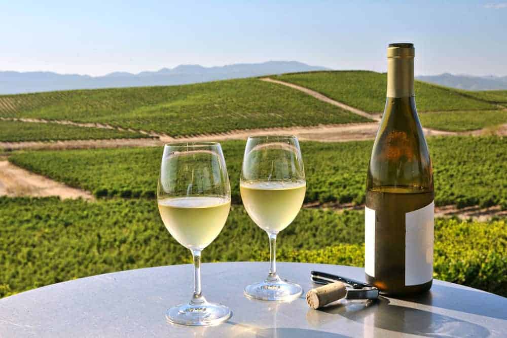 wine tasting tours from san francisco