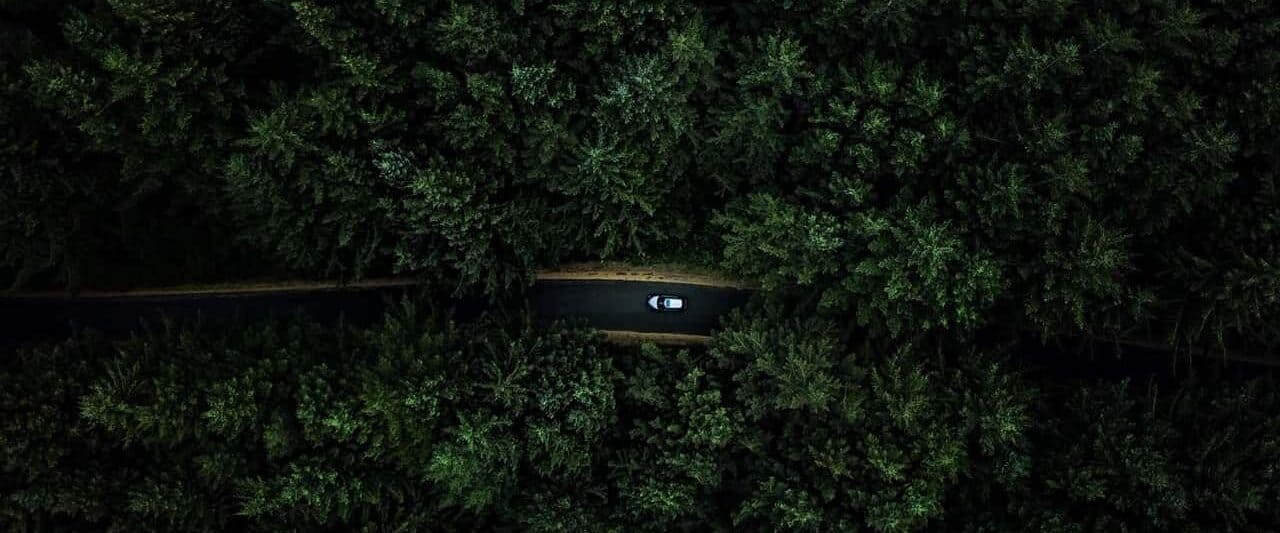 view of a car driving along a road in oregon with dark and moody trees