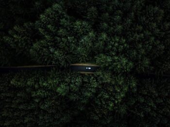 view of a car driving along a road in oregon with dark and moody trees