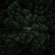 view of a car driving along a road in oregon with dark and moody trees
