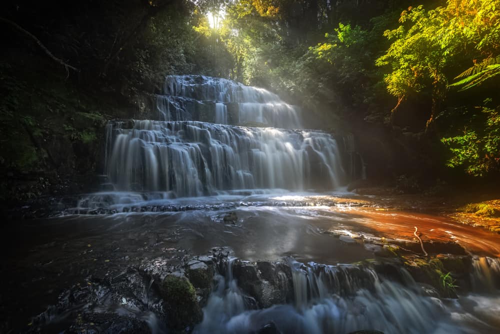 Catlins Forest Park Is An Underrated South Island Itinerary Stop in New Zealand 