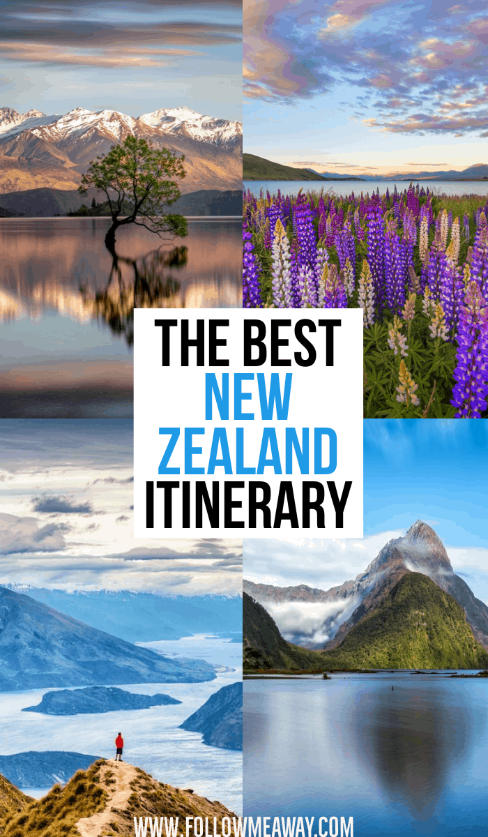 The Best New Zealand Itinerary | 10 Must-See Stops On Your New Zealand South Island Itinerary | What to do in New Zealand | How to plan a trip to New Zealand's South Island | Wanaka Tree New Zealand | Roys Peak Hike in New Zealand | New Zealand travel tips